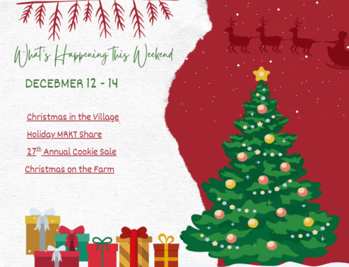 What is Going on this weekend, December 12 -14